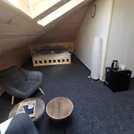 招待所 Wellness Koliba