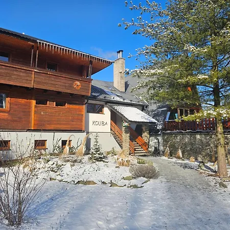 Wellness Koliba 4*